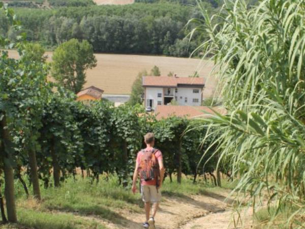 Piedmont walking holiday, self guided