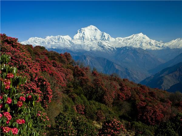 Annapurna Sanctuary trekking holidays