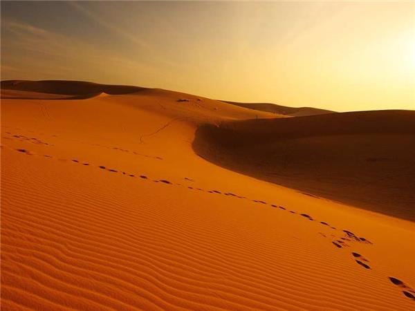 Oman holidays, Arabian sands