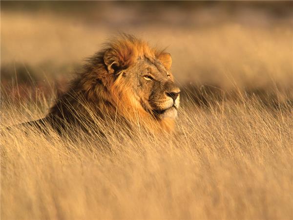 Victoria Falls to Cape Town small group holiday