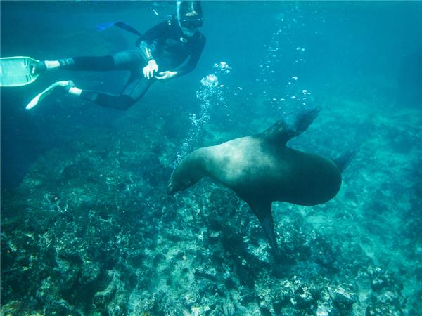 Galapagos land based adventure holiday