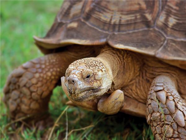 Galapagos land based adventure holiday