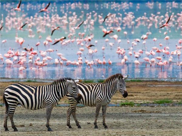Highlights of Kenya small group holiday