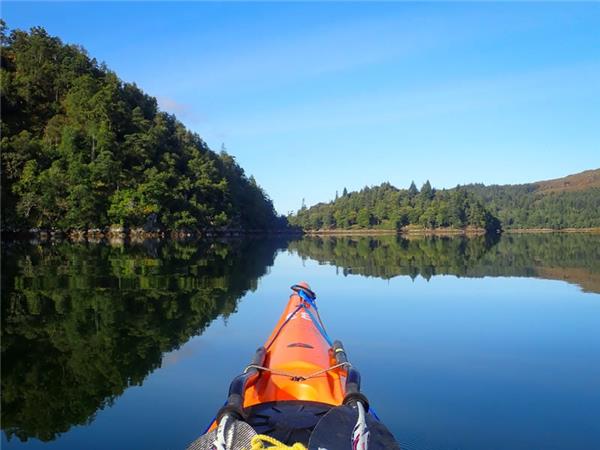Scottish Highlands wildlife holiday