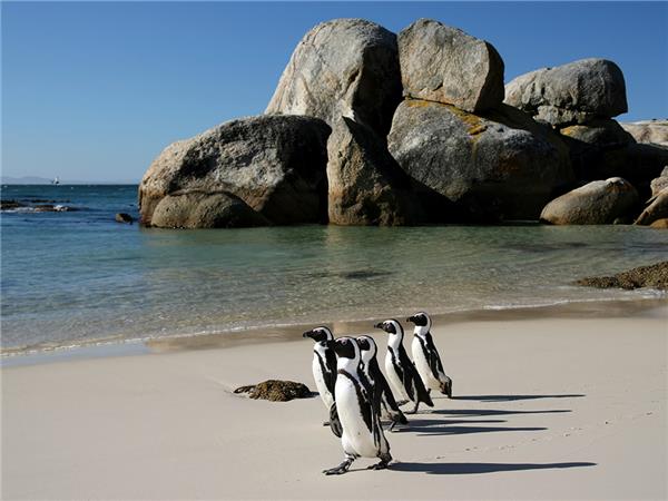 Kruger, coast and cape holiday in Southern Africa