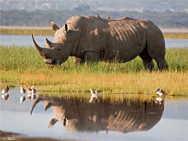 Premium Kenya small group holiday