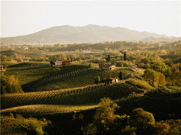 Prosecco Hills walking holiday, Italy