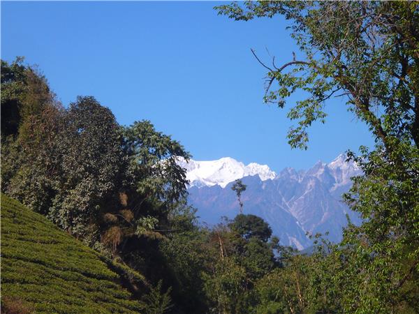 Singalila Ridge trekking holiday in India