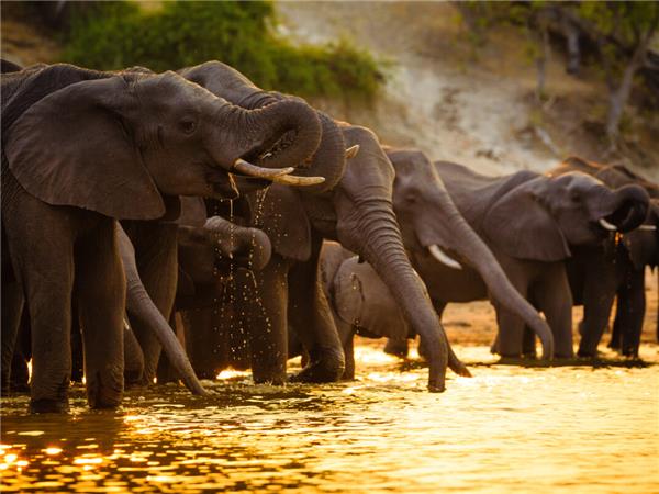 Vic Falls to Cape Town holiday in Southern Africa