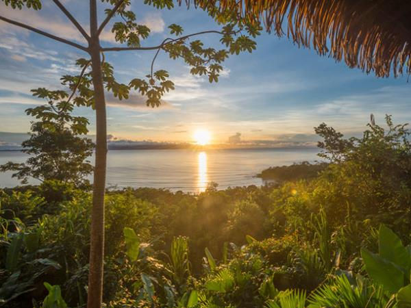 Tailor made Costa Rica wildlife holiday