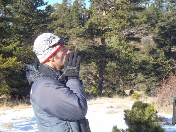 Alpine Wolf tracking holiday, France