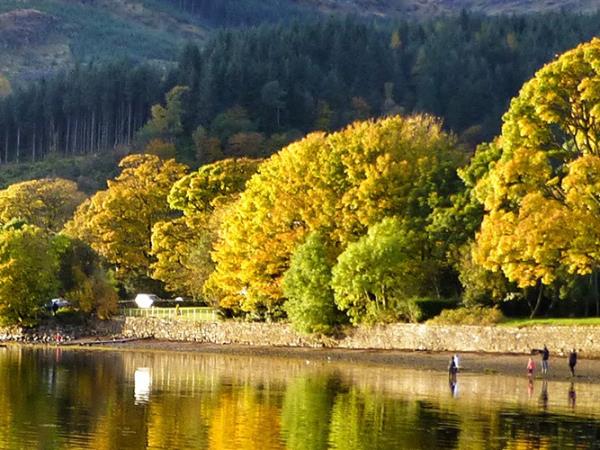 South Argyll cruise in Scotland, history and nature