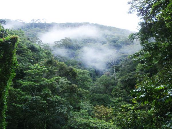 Papua New Guinea holidays & tours in 2025 & 2026