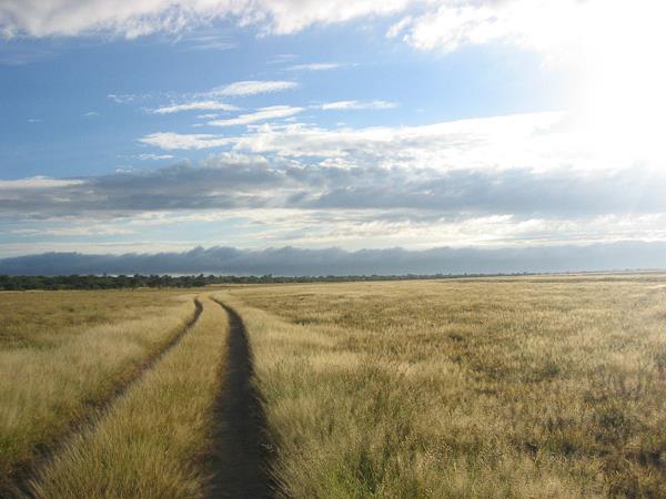 Kalahari desert expedition safari, Botswana