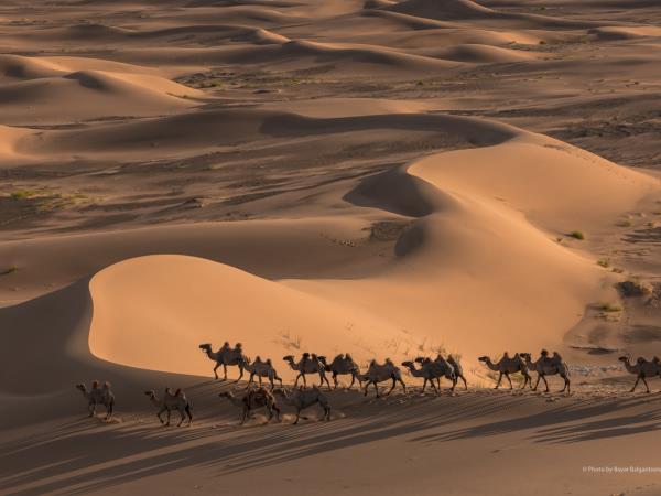 the gobi desert holidays tours holidays in the gobi desert in