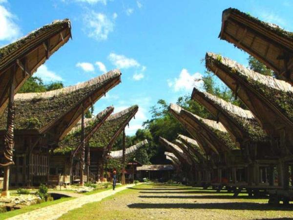 travel agent sulawesi Cultural holiday in Indonesia