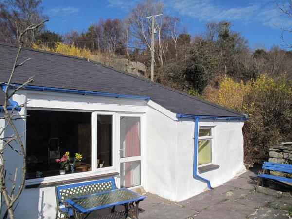 holiday lets wales dog friendly