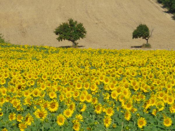 Umbria self guided cycling holiday, Italy