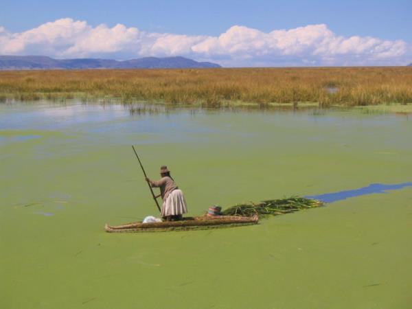 Andes overland journey, Atacama desert to Machu Picchu