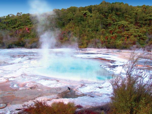 New Zealand cultural holiday