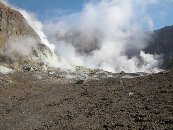 New Zealand holiday, land and sea tour