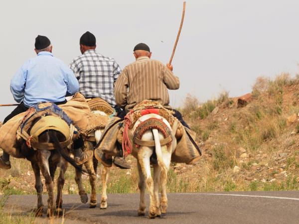 Silk Road holiday, around the Caspian Sea