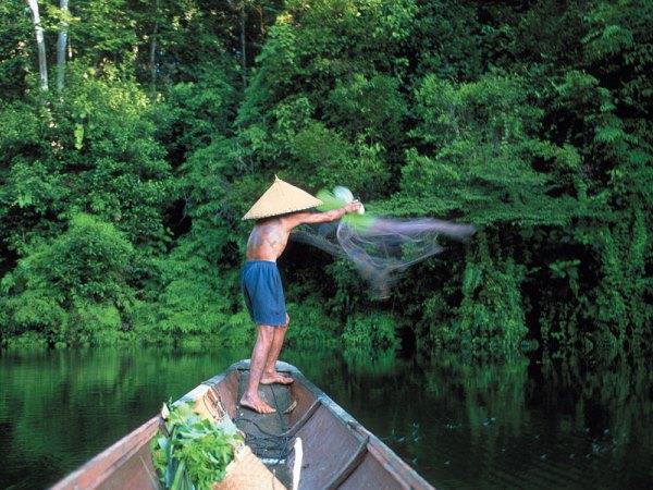 Borneo holiday, Highlights of Borneo