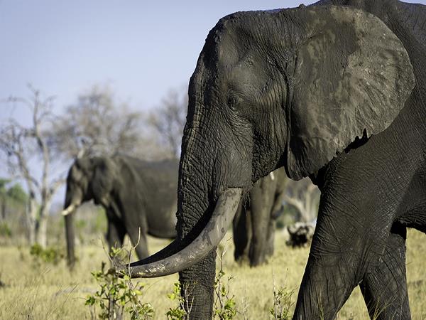 Zimbabwe holidays, tailormade