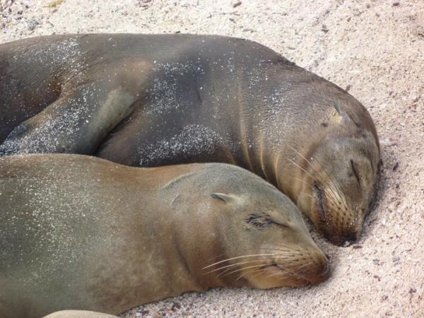 Ecuador & Galapagos holiday, tailormade 