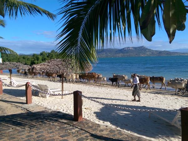 Honeymoons in Madagascar
