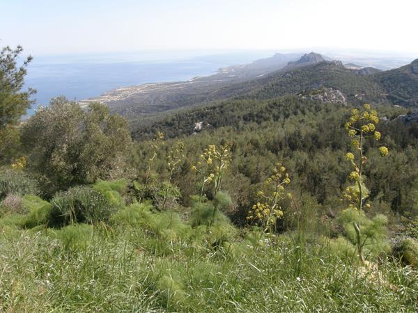 Besparmak trail walking holiday Cyprus