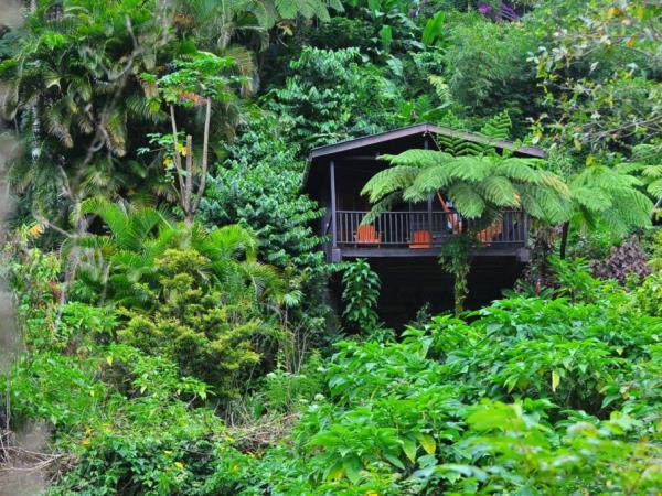 Luxury Rainforest Accommodation Helping Dreamers Do