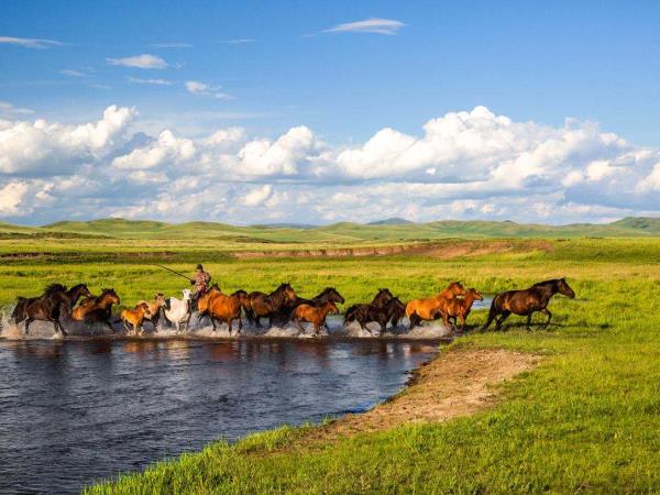 Inner Mongolia horse riding tour, China 