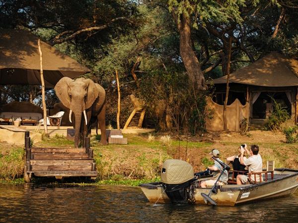 Zambia safari holiday, tailor made