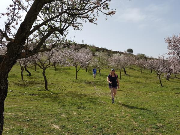 Spain walking holiday, Walking in blossom
