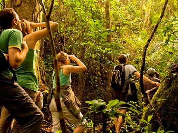 Madagascar luxury private tour