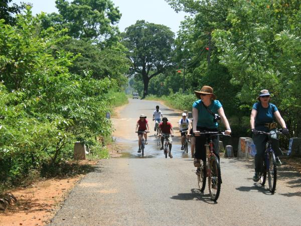 Best of Sri Lanka group tour