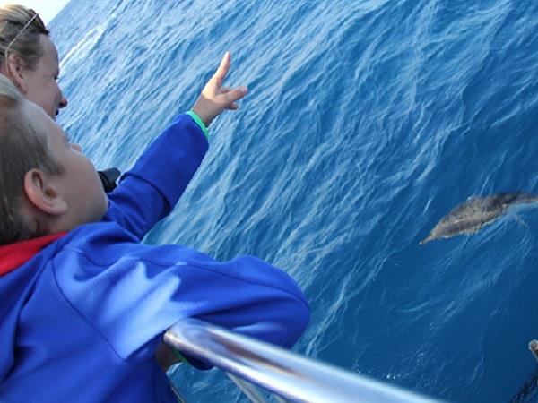 Family whale & dolphin watching holiday, Azores