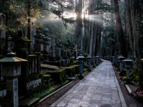 Japan north to south holiday, small group
