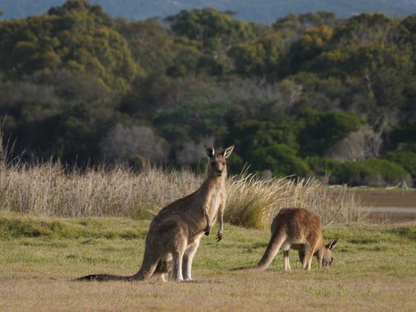 holidays in Australia in 2022 2023 | Responsible