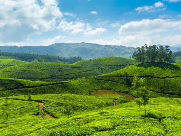 South India tours, temples and monuments