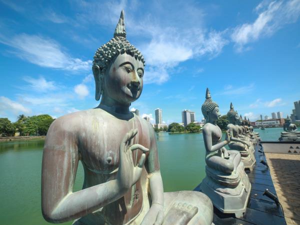Sri Lanka 10 day family tour