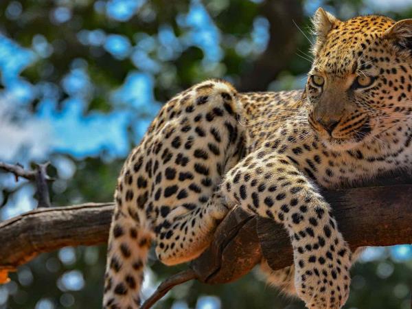 Namibia self drive adventure holiday