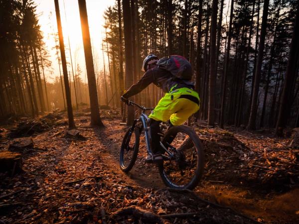 canyon spectral carbon