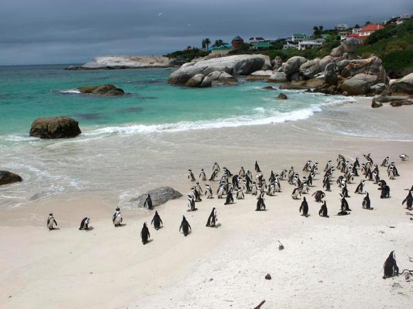 Wheelchair accessible South Africa self drive holiday