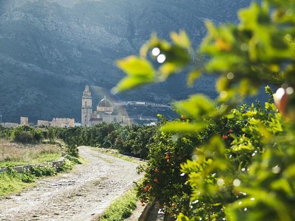 Self guided cycling holiday in Valencia, Spain
