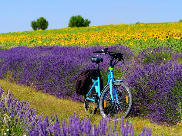 Ctes du Rhne cycling holiday in France