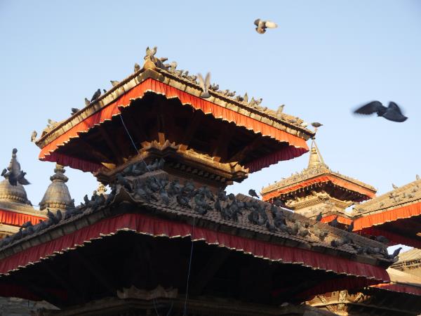 Nepal Buddhism tour, 10 days
