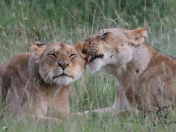 Luxury highlights of Tanzania holiday