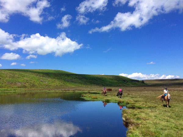 Wye Valley horseriding holiday in Wales